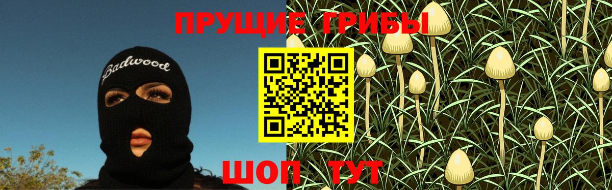 Грозный  Галлюциногенные грибы Psilocybine cubensis  Вход с VPN 