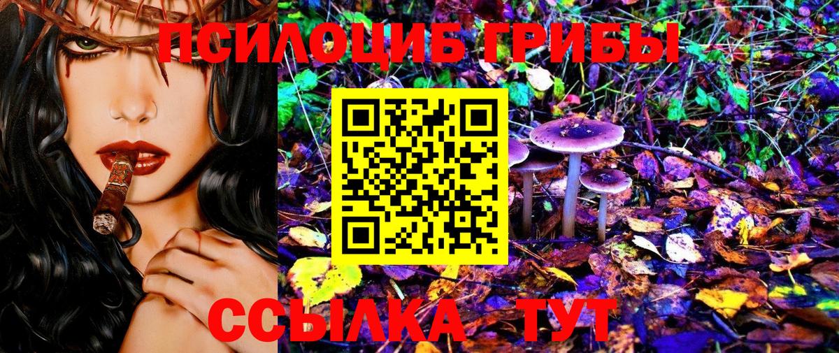 Галлюциногенные грибы мухоморы Грозный