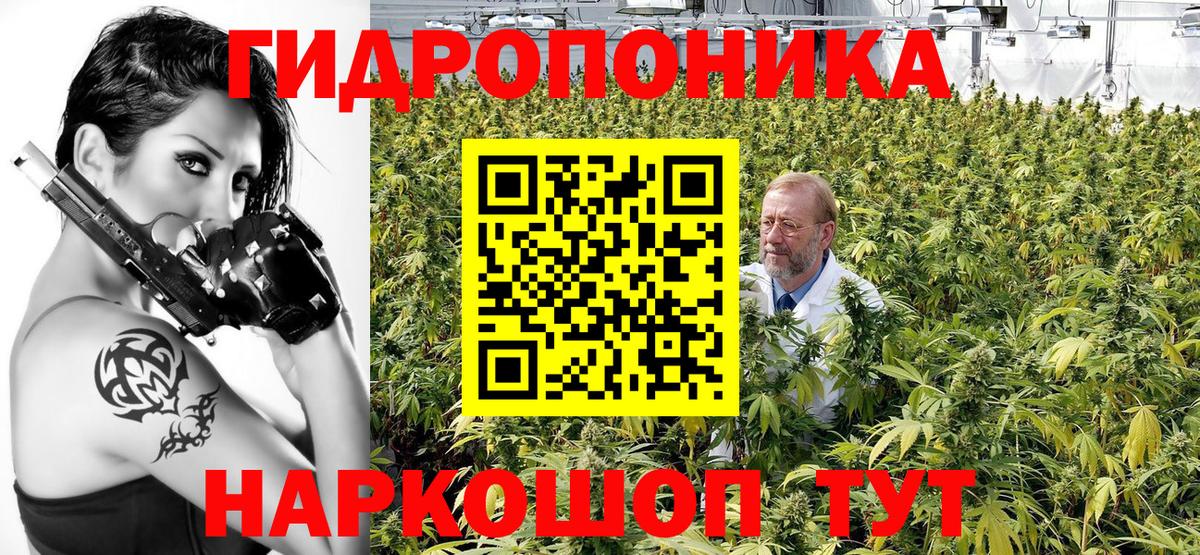 Грозный  Шишки марихуана планчик  Бошки Шишки LSD WEED  Марихуана конопля  Вход с VPN  МАРИХУАНА сатива 